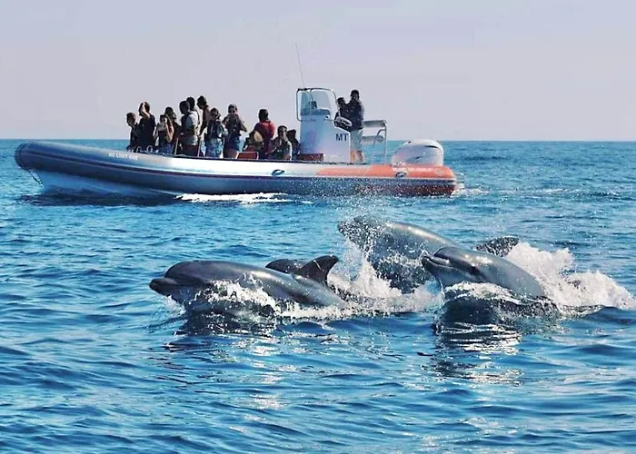 Seaview Elegant - Balcony Facing Beach&garage - Da Rocha * Portimão