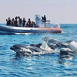 Seaview Elegant - Balcony Facing & Garage - Da Rocha * Portimão