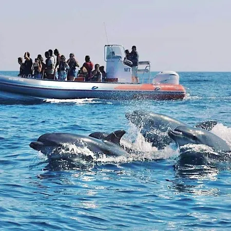 Elegant Seaview Da Rocha * Portimão