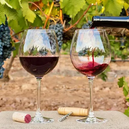 Elegant Seaview Da Rocha Apartament *