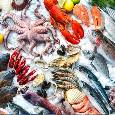 Elegant Seaview Da Rocha Apartament