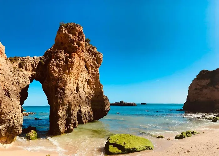 Elegant Seaview Da Rocha 公寓 波尔蒂芒