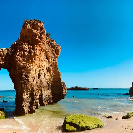 Elegant Seaview Da Rocha דירה פורטימאו