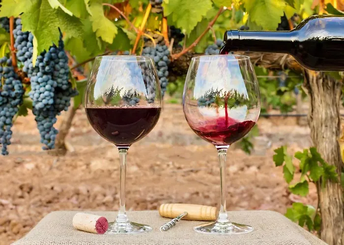 Seaview Elegant - Balcony Facing & Garage - Da Rocha Apartment *