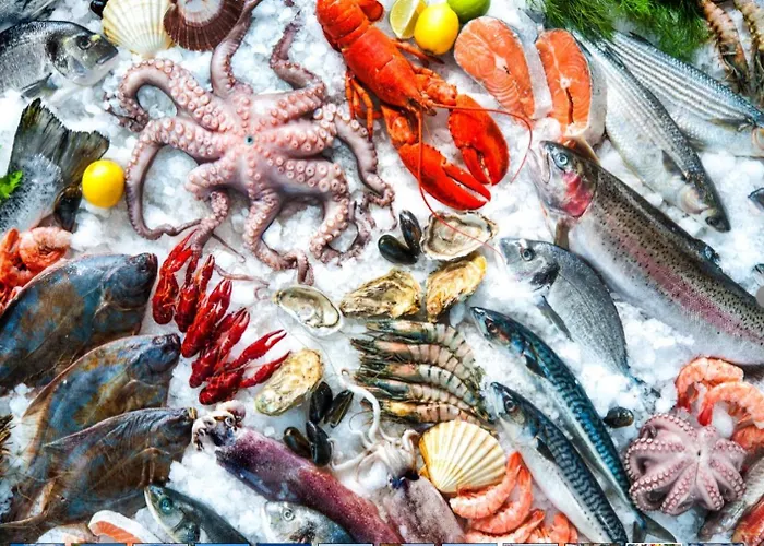 Seaview Elegant - Balcony Facing & Garage - Da Rocha Apartment